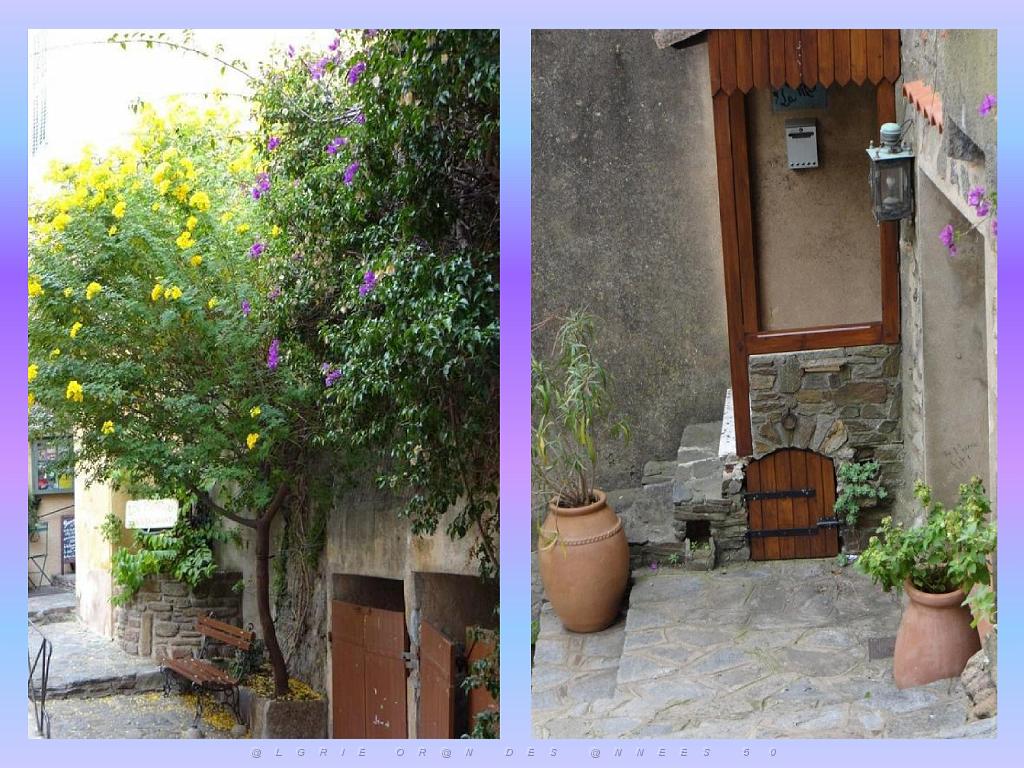 183 D24 BORMES LES MIMOSAS 2_000002.jpg